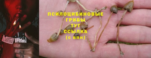 прущая мука Горнозаводск