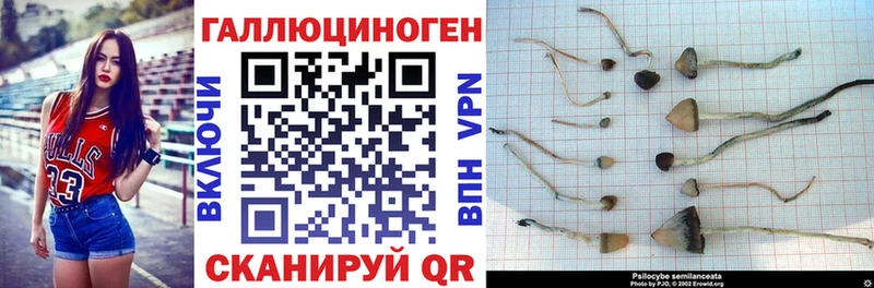 Купить где  Первомайск  Галлюциногенные грибы ЛСД 
